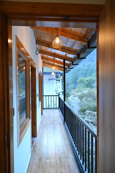 silverfern by the hillside