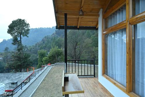 Silver Fern By The Hillside,,3 star