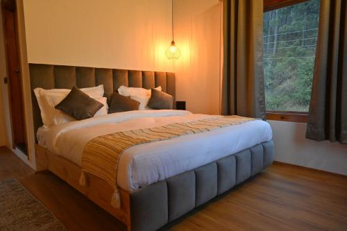 silverfern by the hillside