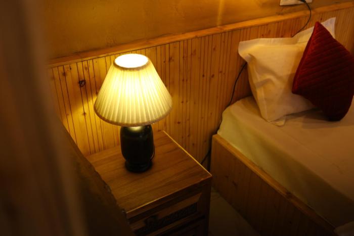 tirthan village resort