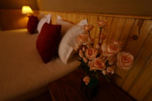 tirthan village resort