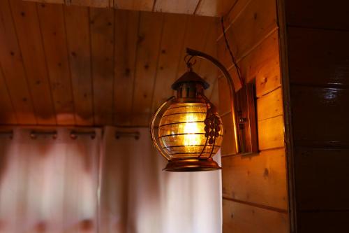 tirthan village resort