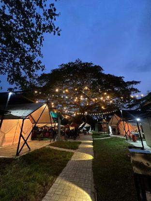glamping at xscape tambun