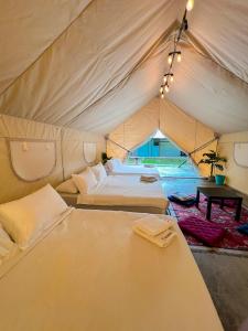 glamping at xscape tambun