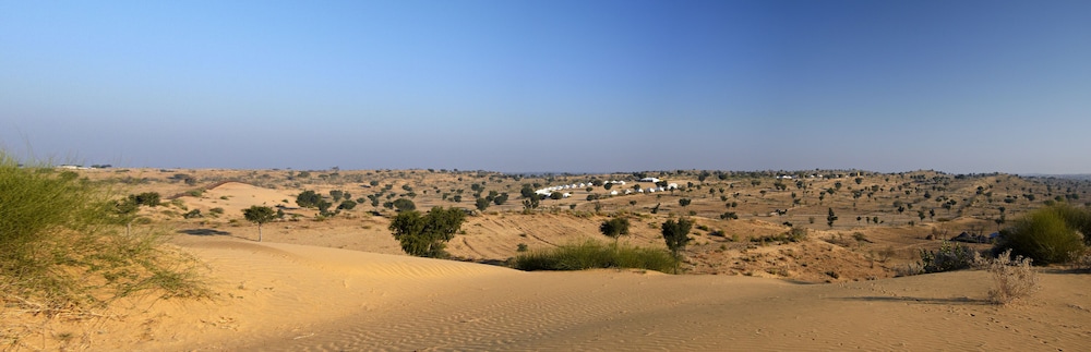 manvar sevan the desert camp