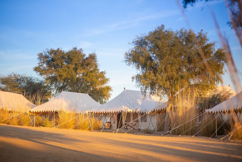 manvar sevan the desert camp