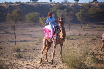 manvar sevan the desert camp