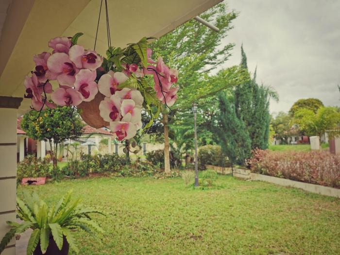 yussy homestay at afamosa villa