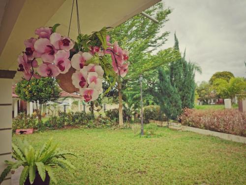 yussy homestay at afamosa villa