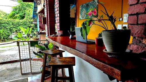 home sol guesthouse