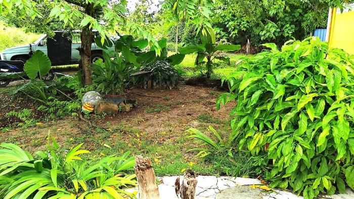 home sol guesthouse