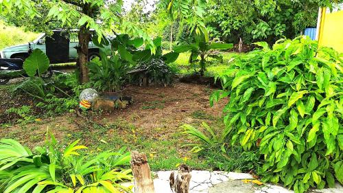 home sol guesthouse