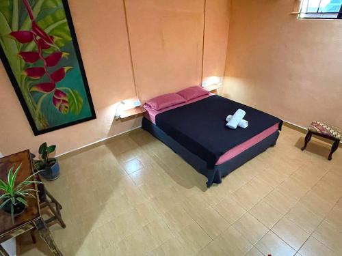 home sol guesthouse