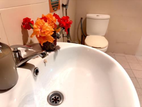 home sol guesthouse
