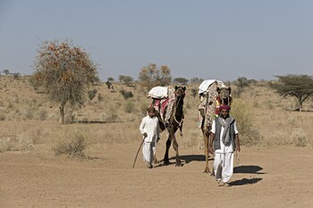 shergarh