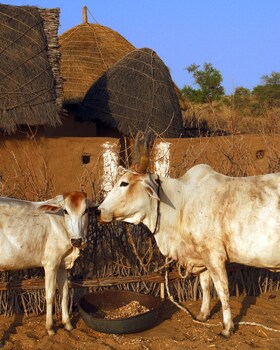 shergarh