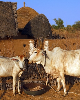 shergarh