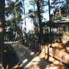 shillong