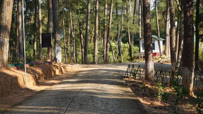 shillong