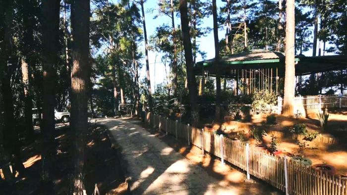 shillong