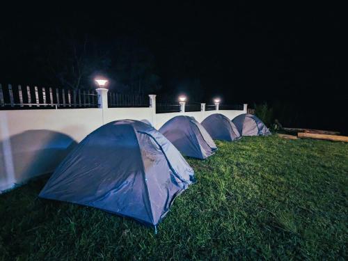 Royalty Global,,4 star