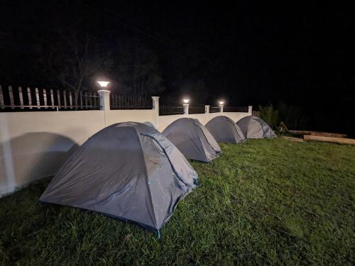 Royalty Global,,4 star