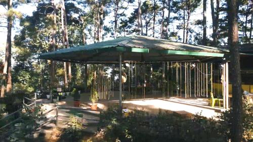 shillong