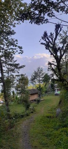 vamoose himalayan viewpoint