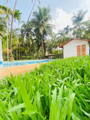 ilif 2702 butterfly resort and farms