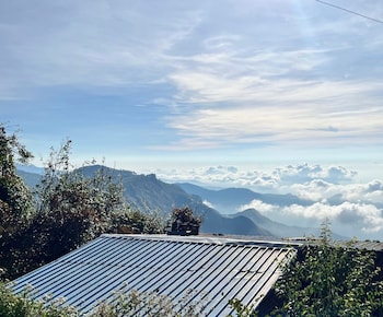 mount olympus lounge