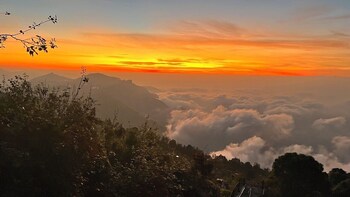 mount olympus lounge