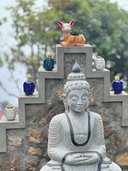 mount olympus lounge