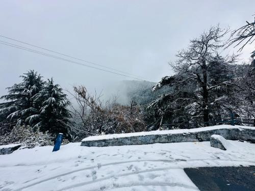 hotel eagle nest central heated