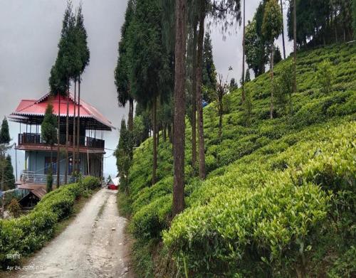 the tea garden homestay by stayapart