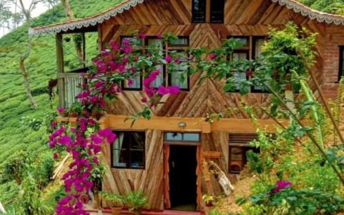 koilee homestead by stayapart