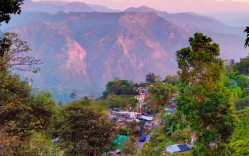 koilee homestead by stayapart