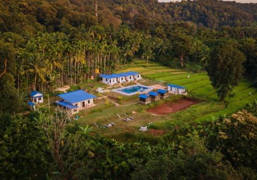 areca jungle stays by stayapart