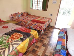 new shiv palace by stayapart