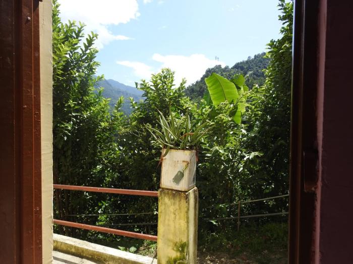 new shiv palace by stayapart