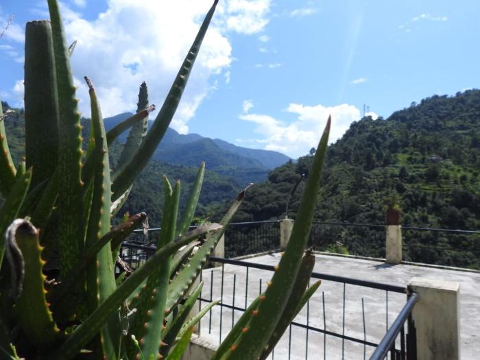 new shiv palace by stayapart