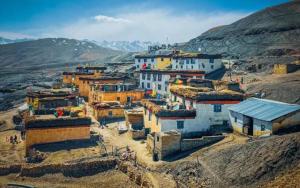 green tara homestay by stayapart