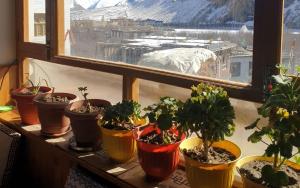 green tara homestay by stayapart