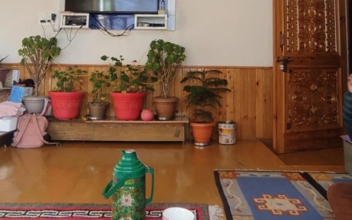 green tara homestay by stayapart