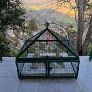 hermitage farms badhisher by stayapart morni hills