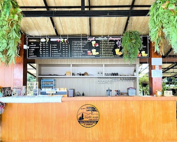 oasis phamee