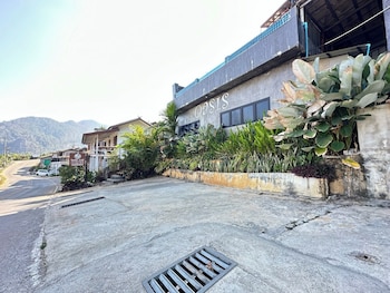 oasis phamee