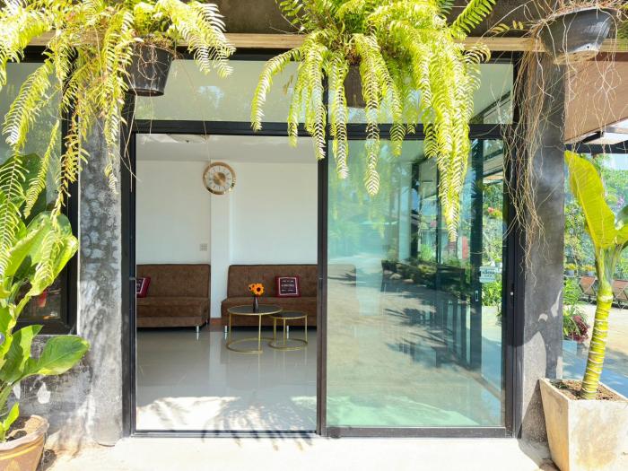 oasis phamee