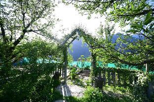 himalayan mud resort