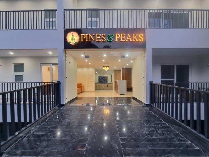 hotel pines and peaks dalhousie