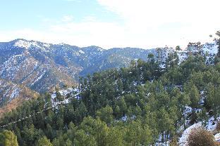 silverpine apartment and homestay